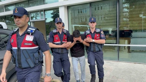 Televizyon hırsızlığı zanlısı, jandarma ekiplerince yakalandı
