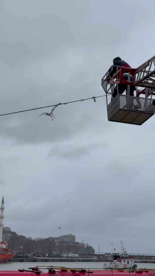 Tellerde mahsur kalan martıyı itfaiye ekipleri kurtardı
