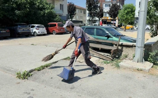 Temizlik işçisinin hayvan sevgisi takdir topladı
