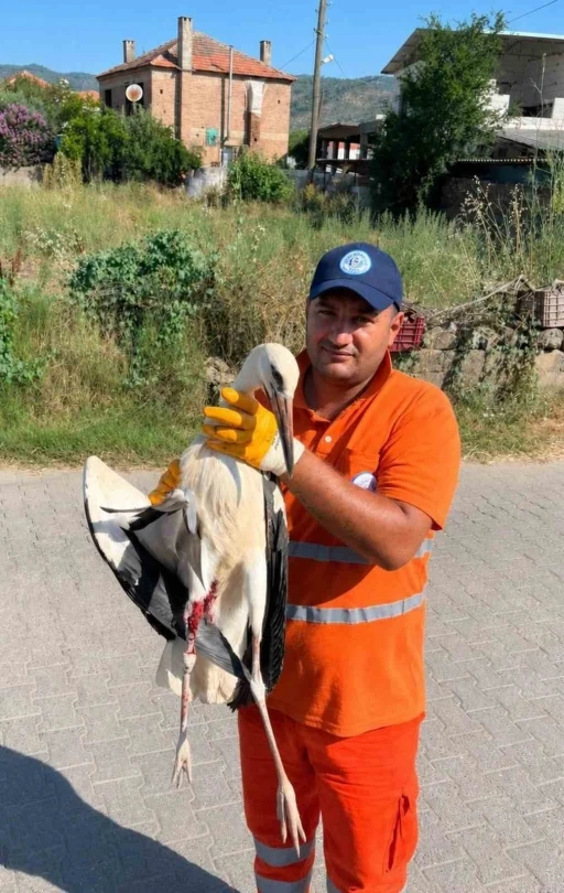 Temizlik personelinin duyarlılığı yaralı Leyleğe umut oldu

