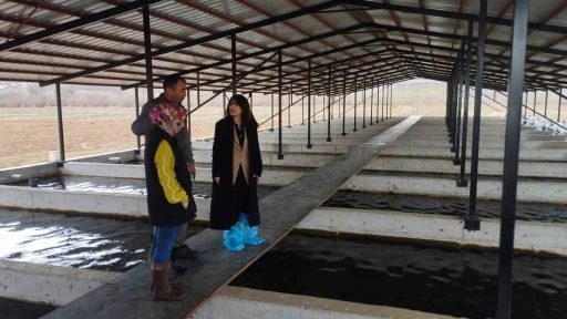 Tercan&rsquo;da alabalık &uuml;retim tesisine denetim
