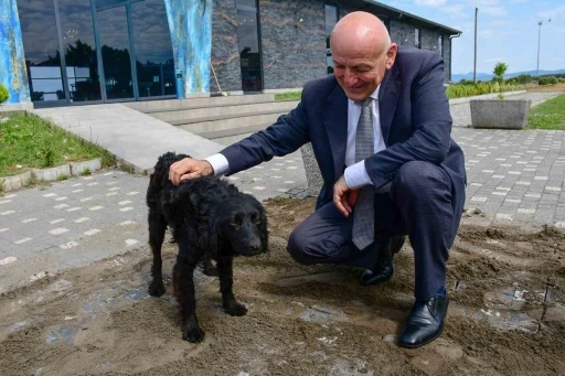 Terme&rsquo;de sevgi ve merhamet projesi
