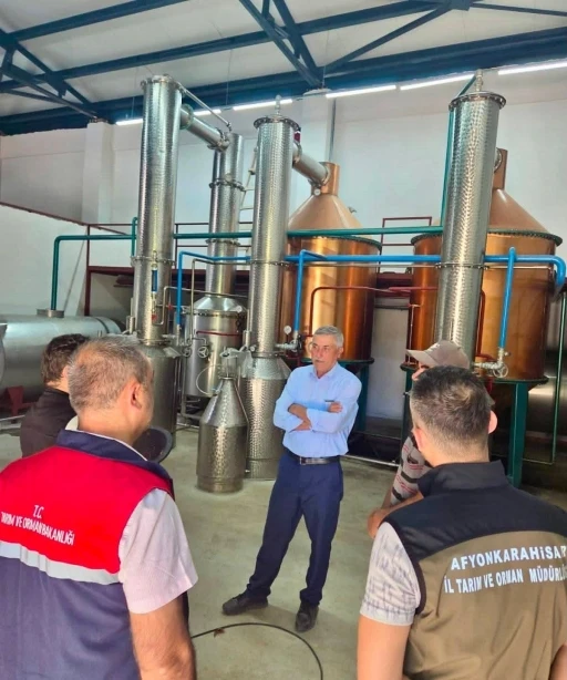 Tıbbi aromatik bitki &uuml;retimi i&ccedil;in saha &ccedil;alışmaları s&uuml;r&uuml;yor
