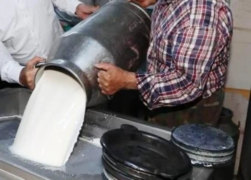 Ticari süt işletmelerince 1 milyon 15 bin 647 ton inek sütü toplandı
