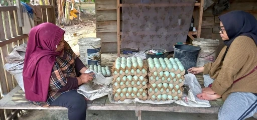 TİKA, Endonezya’da kırsal kalkınmayı destekliyor

