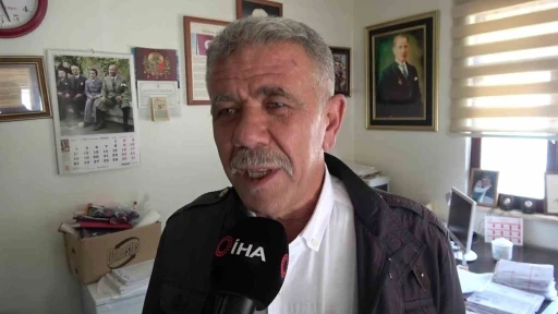 Tilki futbol sahasına girdi
