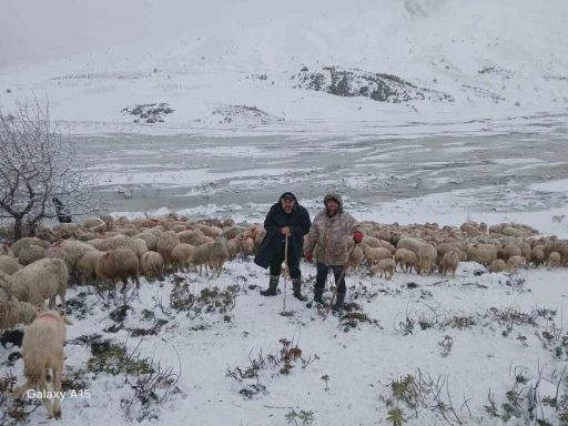 Tipi vurdu heyelan yolu kapattı, 2 &ccedil;oban ve yaklaşık 650 k&uuml;&ccedil;&uuml;kbaş hayvan yaylada mahsur kaldı
