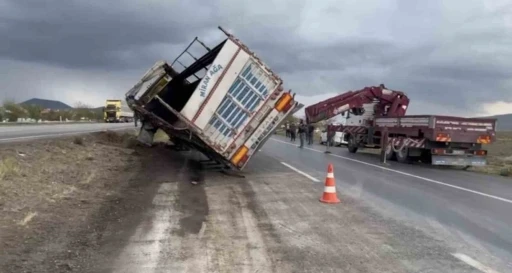 Tır devrildi, anguslar kayboldu
