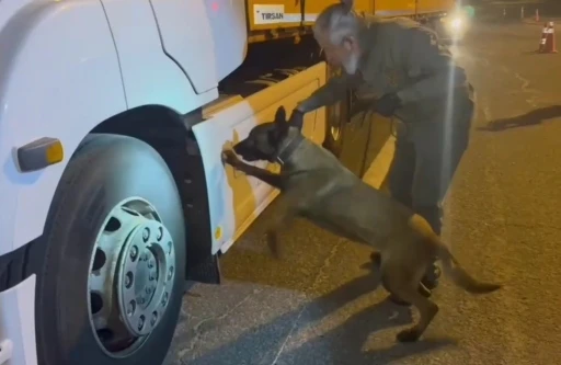 Tırdaki 5,5 kilogram uyuşturucuyu ’Viva’ buldu
