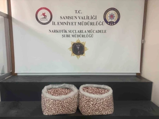 Tırın yatak b&ouml;l&uuml;m&uuml;nde 129 bin 500 uyuşturucu hap ele ge&ccedil;ti
