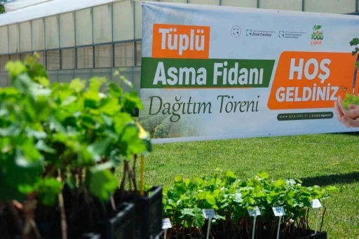 TOG&Uuml;&rsquo;den &uuml;reticiye bağcılık desteği
