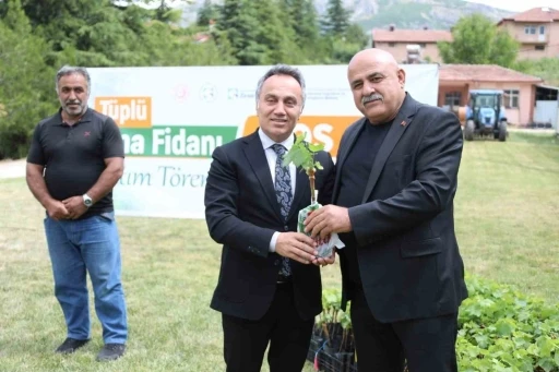 TOGÜ tüplü asma fidanlarını üreticiyle buluşturdu
