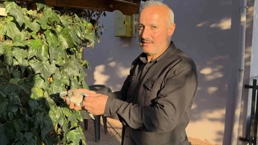 Tokat’ta evin çatısına yıldırım düştü, yuvadaki kuşlar telef oldu
