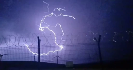 Tokat’ta fırtına nedeniyle ağaçlar devrildi
