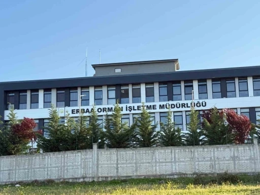Tokat’ta jandarmadan yolsuzluk operasyonu: 7 gözaltı
