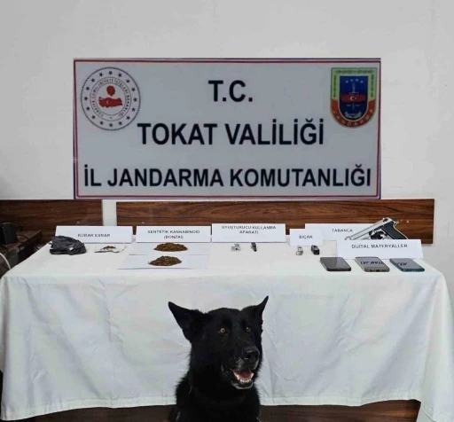 Tokat&rsquo;ta jandarmadan zehir tacirlerine operasyon: 5 g&ouml;zaltı
