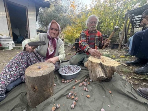 Topladıkları kozalakları kızgın ateşte saatlerce kaynatarak şifa deposuna d&ouml;n&uuml;şt&uuml;r&uuml;yorlar
