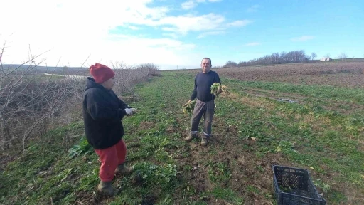 Toprağa emek, &ccedil;ocuklara gelecek: Karı-koca d&ouml;rt mevsim tarlada &ccedil;alışıyor
