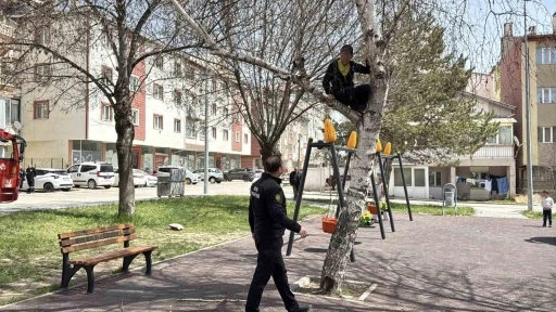 Topu almak i&ccedil;in &ccedil;ıktığı ağa&ccedil;tan inemeyen &ccedil;ocuk itfaiyeden yardım istedi
