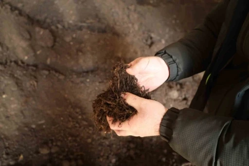 Torf &uuml;retimiyle yılda 50 milyon lira tasarruf sağlanıyor
