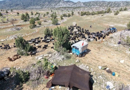 Toroslar&rsquo;da Y&ouml;r&uuml;k g&ouml;&ccedil;&uuml; başladı: Sarıke&ccedil;ililer yayla yolunda
