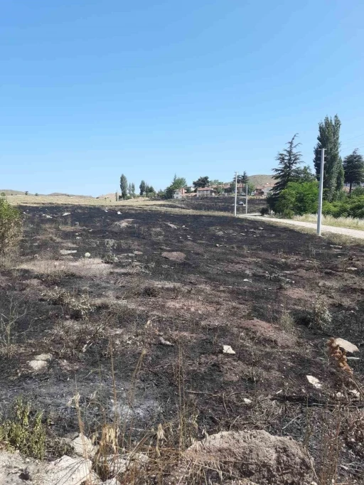 Torpilden çıkan yangında 15 dönümlük arazi kül oldu
