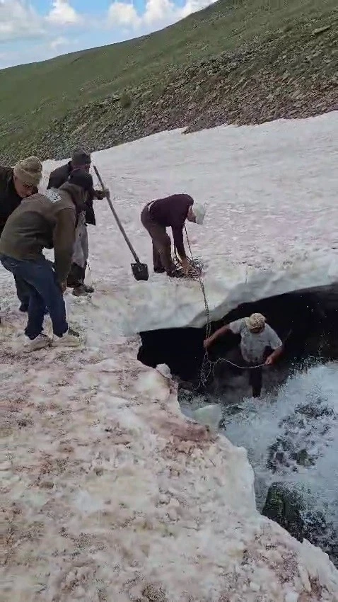 Tortum&rsquo;da buzullarda dana kurtarma operasyonu

