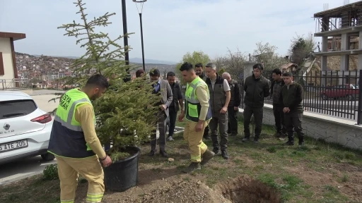 Tosya Adalet Sarayı bahçesinde fidanlar toprakla buluşturuldu

