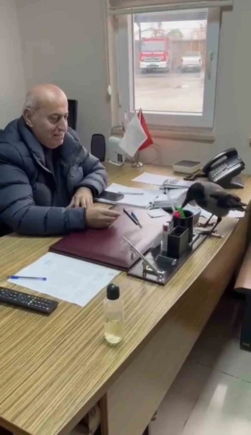 Trabzon&rsquo;da belediye başkanının g&uuml;l&uuml;mseten karga diyaloğu
