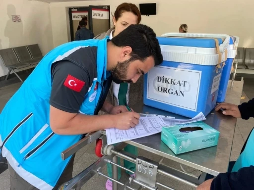Trabzon’da beyin ölümü gerçekleşen kişinin organları 3 kişiye umut oldu
