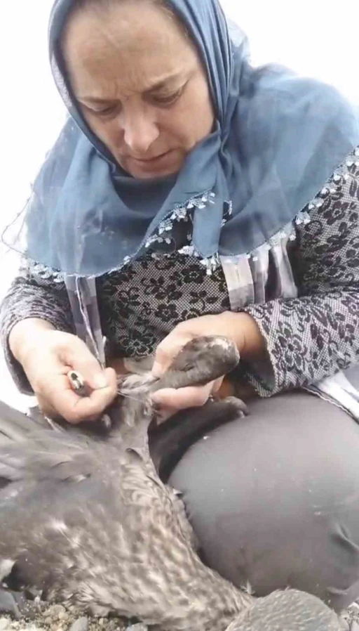 Trabzon&rsquo;da karabatak kurtarma operasyonu g&uuml;l&uuml;msetti
