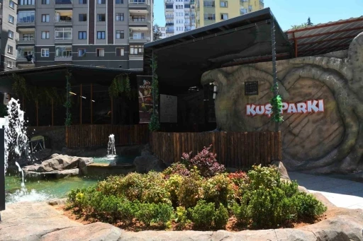 Trabzon&rsquo;da kuş parkı ilgi &ccedil;ekiyor
