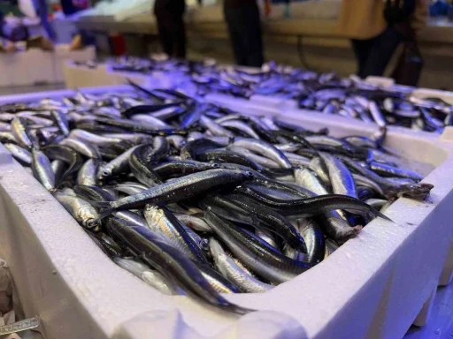 Trabzon’dan gelen taze balıklar Erzincan’da ilgi görüyor
