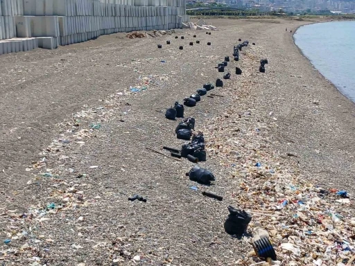 Trabzon sahilinde &ccedil;&ouml;p seferberliği
