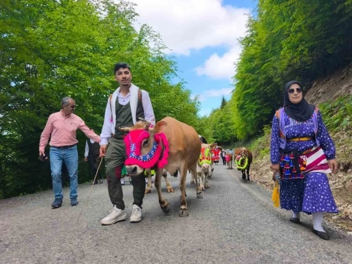 Trabzon&rsquo;un Şalpazarı il&ccedil;esinde geleneksel yayla g&ouml;&ccedil;&uuml; başladı
