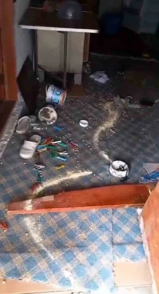 Trabzonlu vatandaştan köy evine giren ayıya komik sitem
