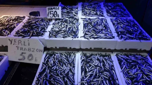 Trabzonlular hamsiye doydu
