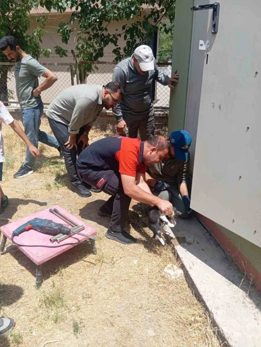 Trafo deliğine başı sıkışan kedi itfaiye ekiplerince kurtarıldı

