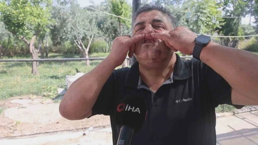 Trakt&ouml;rle yol kesip, kuyumcuya meydan dayağı atan kardeşlere 420 bin TL ceza

