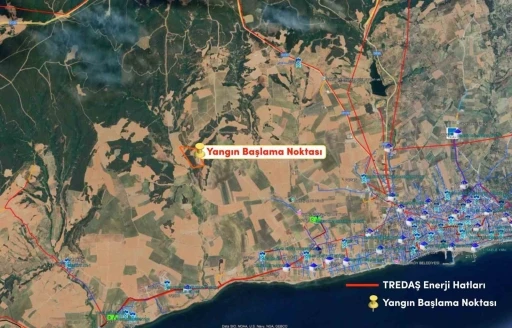 TREDAŞ: &quot;Yangın bölgesinde bize ait enerji hattı bulunmamaktadır&quot;
