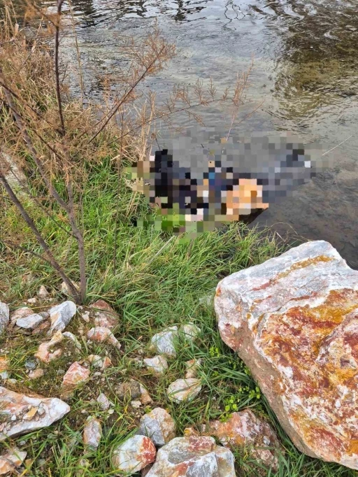 Trenin ge&ccedil;tiği k&ouml;pr&uuml;de hayatını kaybetti
