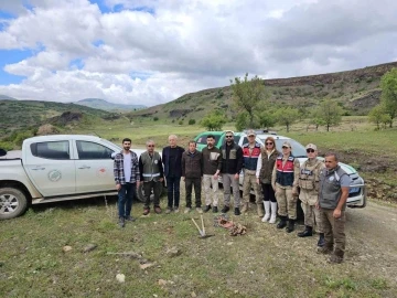 Tunceli’de biyolojik kaçakçılara rekor ceza
