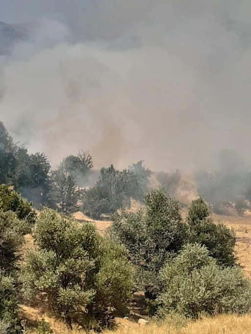 Tunceli’de çıkan yangın büyük ölçüde söndürüldü
