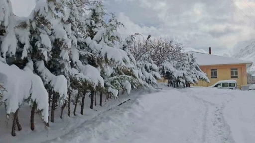 Tunceli’de kar yağışı hayatı olumsuz etkiliyor
