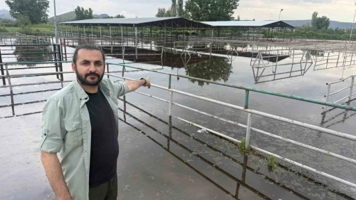 Turhal&rsquo;da hayvan pazarı sular altında kaldı
