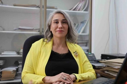 Türk bilim insanlarından dev çalışma, elektrikli araçlar daha güvenli olacak
