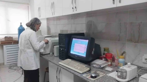 T&uuml;rk profes&ouml;rlerin y&uuml;r&uuml;tt&uuml;ğ&uuml; Sodyum-iyon batarya projesinde laboratuvar &ccedil;alışmaları tamamlandı
