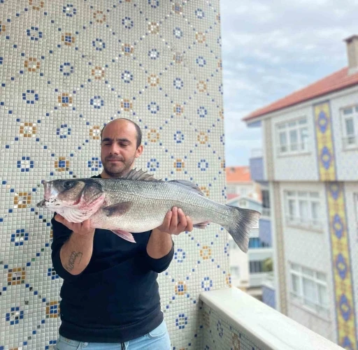 Türkeli’de 7,5 kiloluk dev levrek yakalandı
