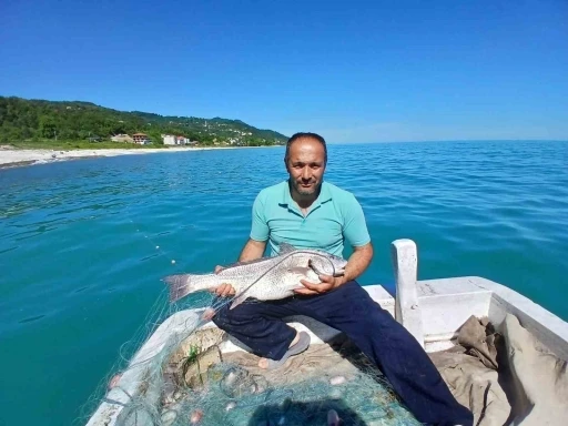 T&uuml;rkeli&rsquo;de nadir g&ouml;r&uuml;len k&ouml;tek balığı avlandı
