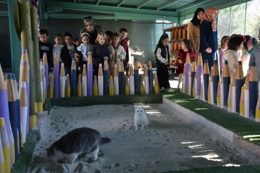 T&uuml;rkiye&rsquo;de ilk olan &rsquo;K&uuml;&ccedil;&uuml;k Dostlar Ambulansı&rsquo; ile 10 bin 280 can kurtarıldı
